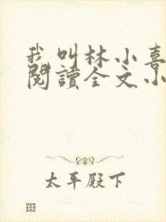 我叫林小喜免费阅读全文小说