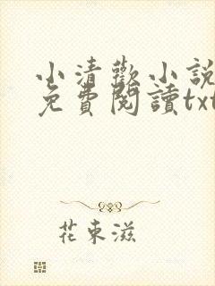 小清欢小说全文免费阅读txt