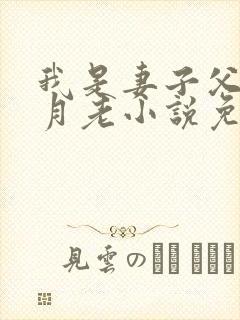 我是妻子父亲的月老小说免费阅读