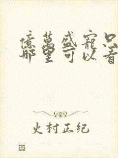 亿万盛宠只为你哪里可以看封面