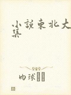 小说东北大炕全集封面