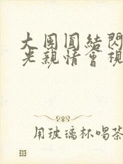 大团圆结闪闪发光亲情会视频
