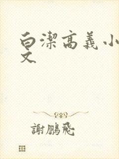 白洁高义小说全文