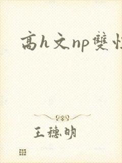 高h文np双性