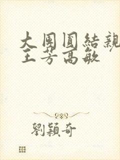 大团圆结亲情会王芳高敏封面
