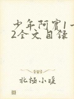 少年阿宾1一72全文目录
