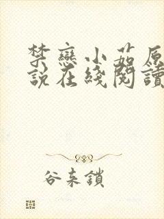 禁恋小茹原著小说在线阅读免费