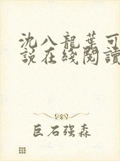 沈八龙叶可怡小说在线阅读