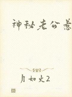 神秘老公惹不起封面