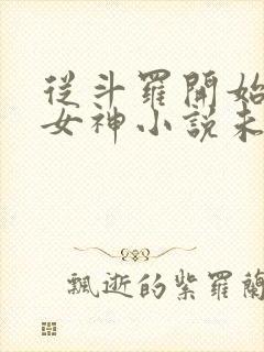 从斗罗开始俘获女神小说未删减完整版