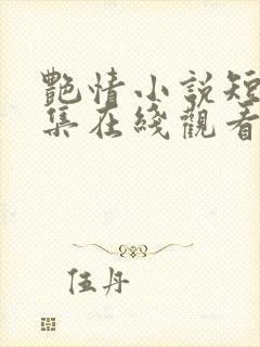 艳情小说短篇合集在线观看封面