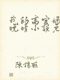我的高官妈妈苏晚晴小说免费阅读