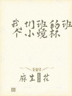 我们班的班花是个小烧杯