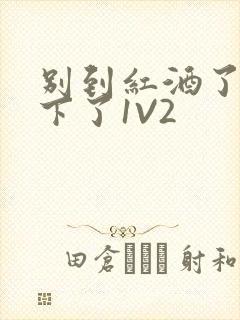 别到红酒了装不下了1V2