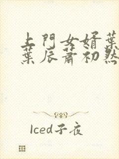 上门女婿叶辰 叶辰萧初然531