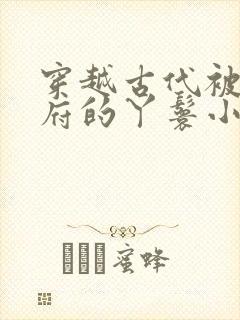 穿越古代被放出府的丫鬟小说