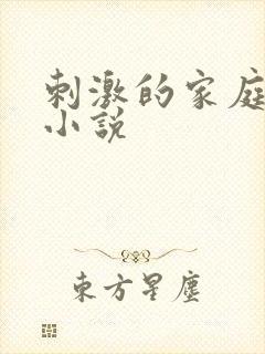 刺激的家庭乱仑小说