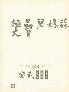 极品儿媳苏媚赵大宝