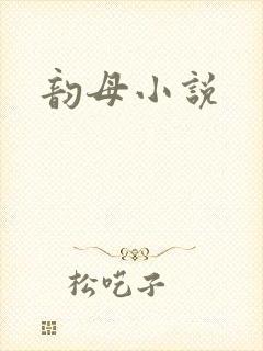 韵母小说