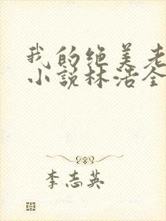 我的绝美老板娘小说林浩全文阅读