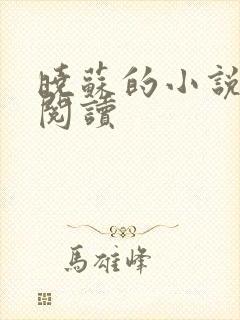 晓苏的小说在线阅读