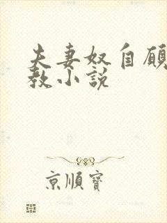 夫妻奴自愿被调教小说封面