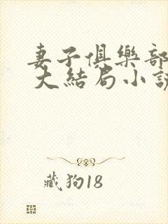 妻子俱乐部番外 大结局小说