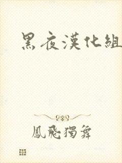 黑夜汉化组封面