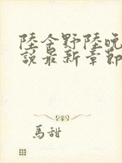陆今野陆晚笙小说最新章节更新封面