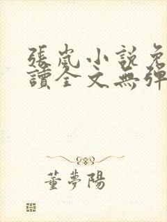 张岚小说免费阅读全文无弹窗