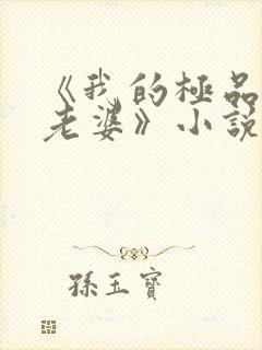 《我的极品美女老婆》小说