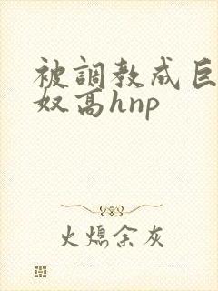 被调教成巨乳奶奴高hnp封面