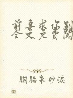 前妻求你别改嫁全文免费阅读总裁