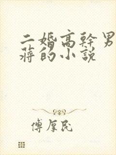 二婚高干男主姓蒋的小说封面