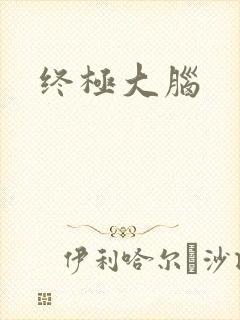 终极大脑
