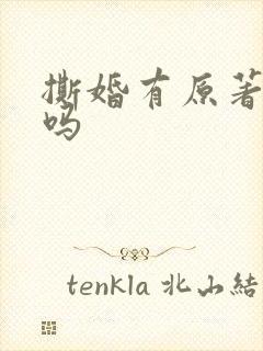 撕婚有原著小说吗