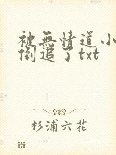 被无情道小师弟倒追了txt
