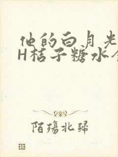 他的白月光HVH桔子糖水全文