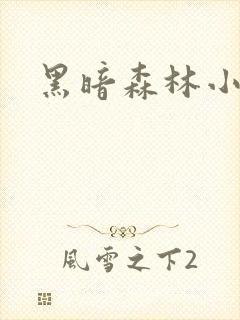 黑暗森林小说