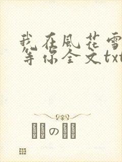 我在风花雪月里等你全文txt