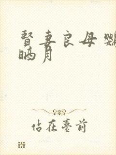 贤妻良母 鹦鹉晒月封面