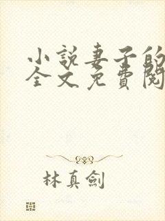 小说妻子的秘密全文免费阅读全文