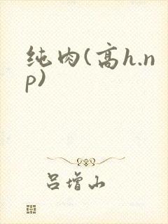 纯肉(高h.np)
