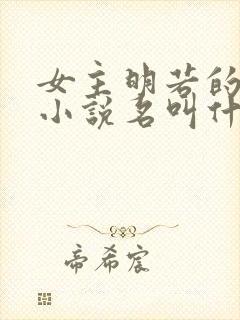 女主明若的穿越小说名叫什么