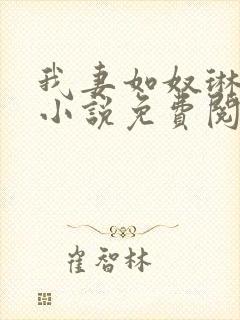 我妻如奴琳原文小说免费阅读