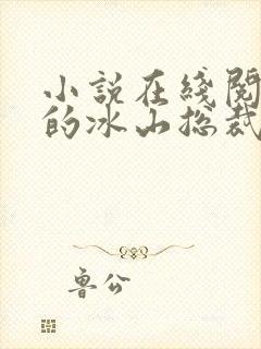 小说在线阅读我的冰山总裁老婆