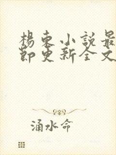 杨东小说最新章节更新全文阅读