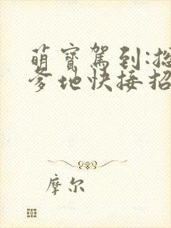 萌宝驾到:总裁爹地快接招