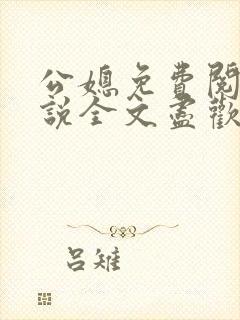 公媳免费阅读小说全文尽欢年代封面