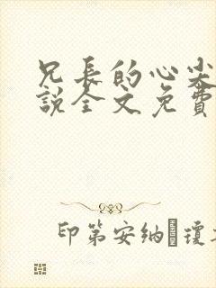 兄长的心尖宠小说全文免费阅读